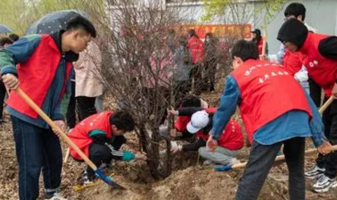 社会工作者机构-社会工作者机构