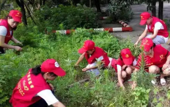 2020年社工资格证考试时间-2020社工资格证时间