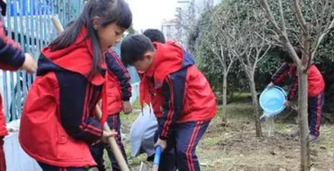 社工证资格核查什么样算通过-社工证核查通过